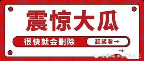 娱乐吃瓜项目
